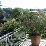 Apartament Jazmin *
