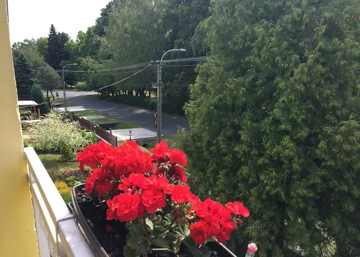 Jazmin ザラカロシュ