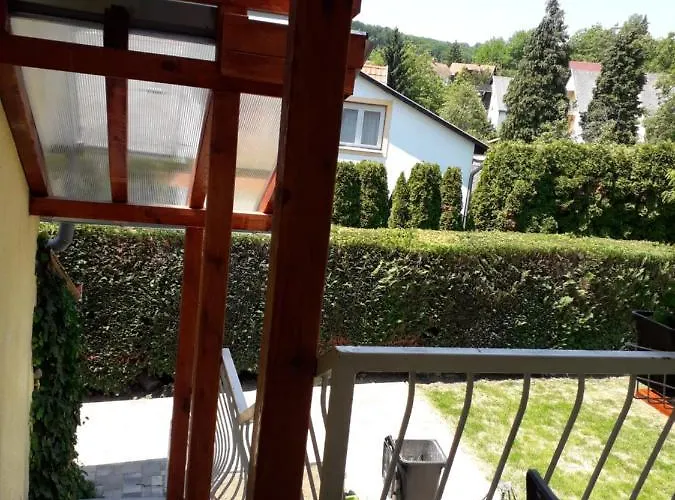 Jazmin ザラカロシュ